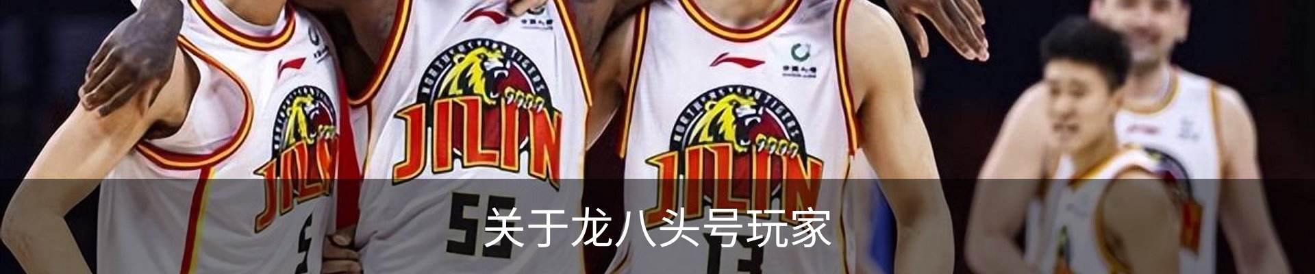关于龙八头号玩家